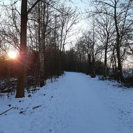 Vakantiehuis Aan Het Bos - Gelegen Aan De Tulpenroute Bant Luaran gambar