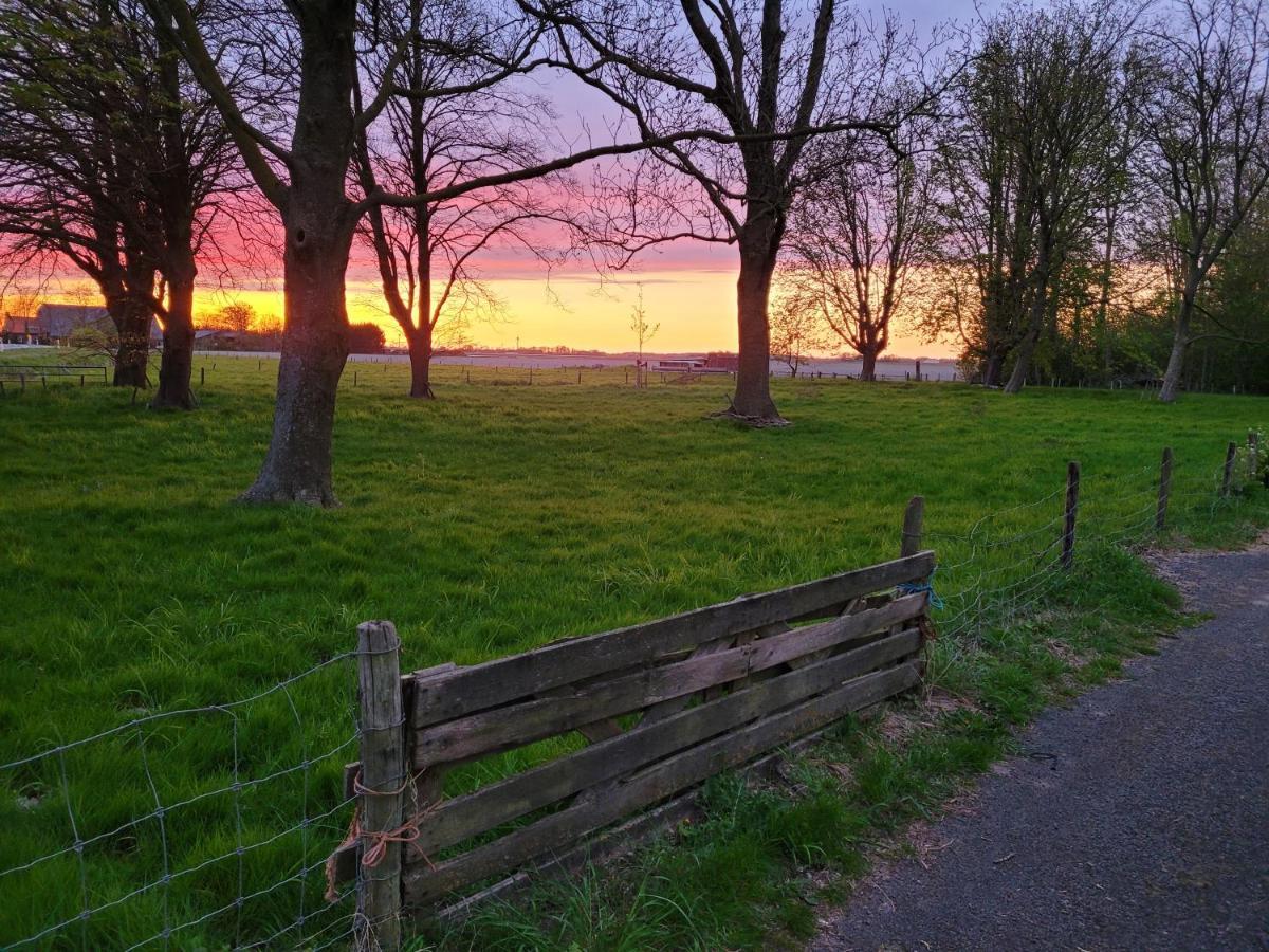 Vakantiehuis Aan Het Bos - Gelegen Aan De Tulpenroute Bant Luaran gambar